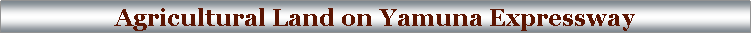 Text Box: Agricultural Land on Yamuna Expressway